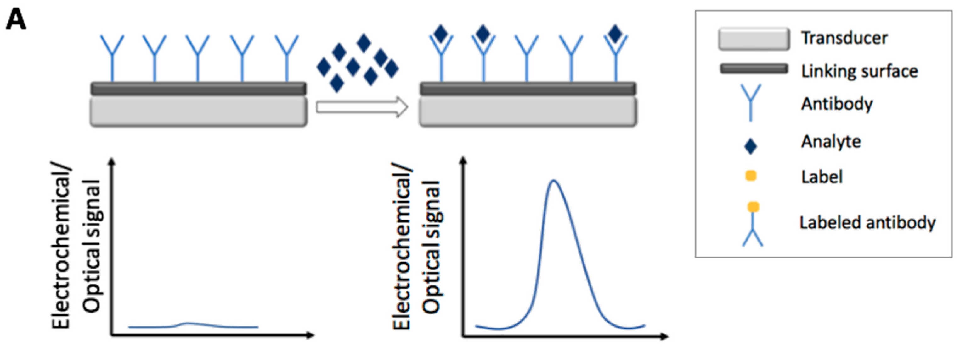 Foods 07 00148 g001a Foods 07 00148 g001a