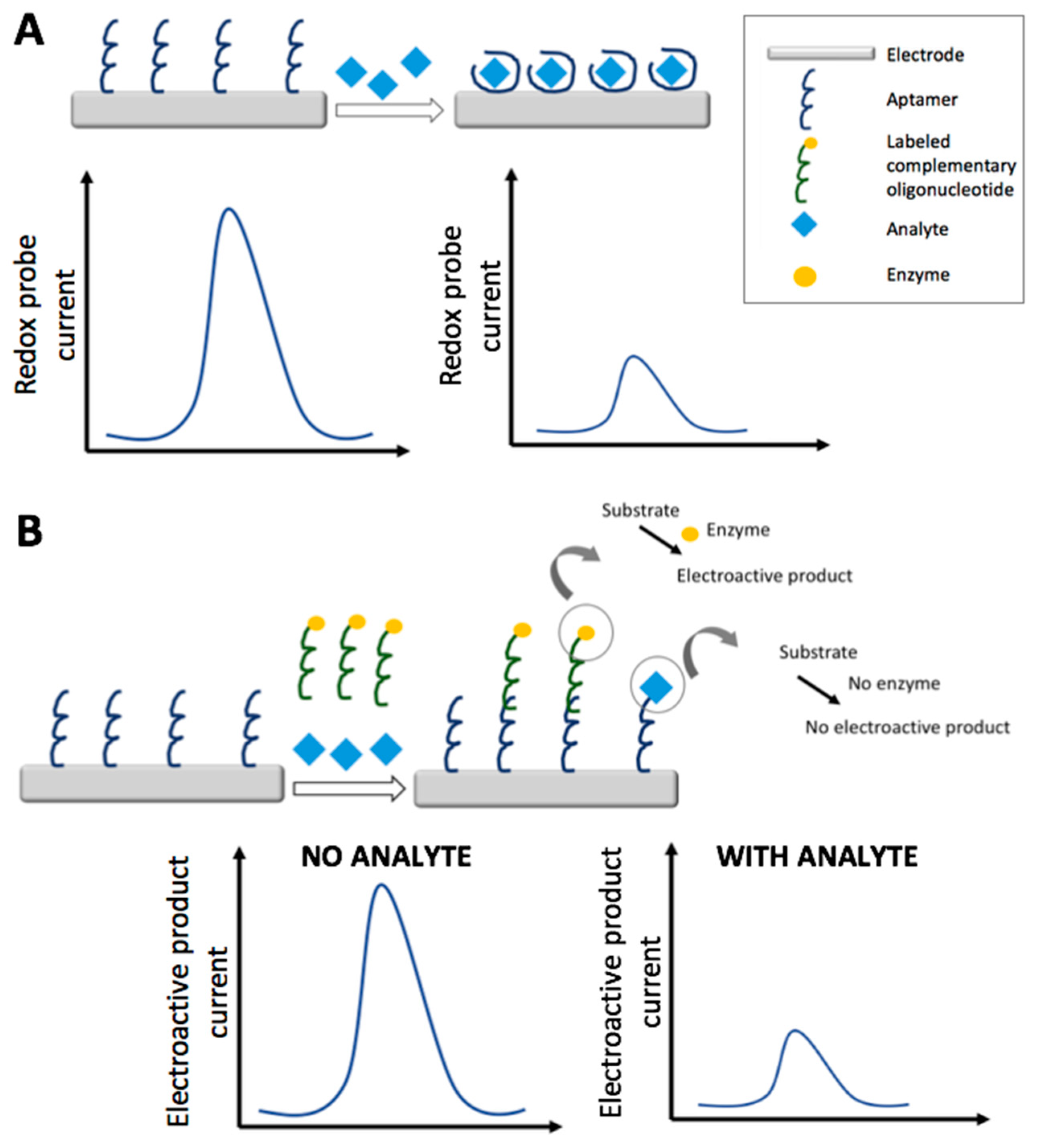Foods 07 00148 g003 Foods 07 00148 g003