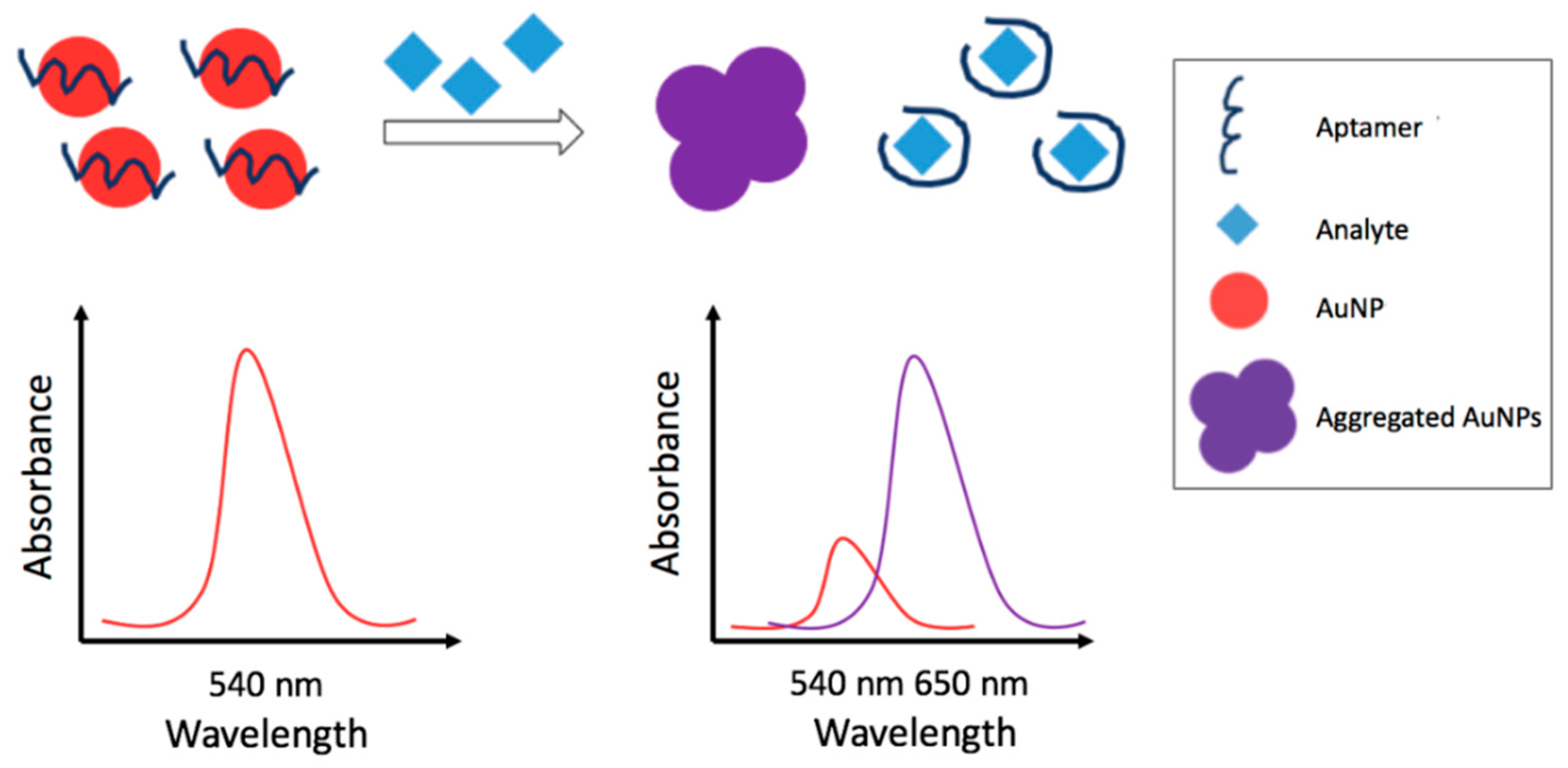 Foods 07 00148 g004 Foods 07 00148 g004