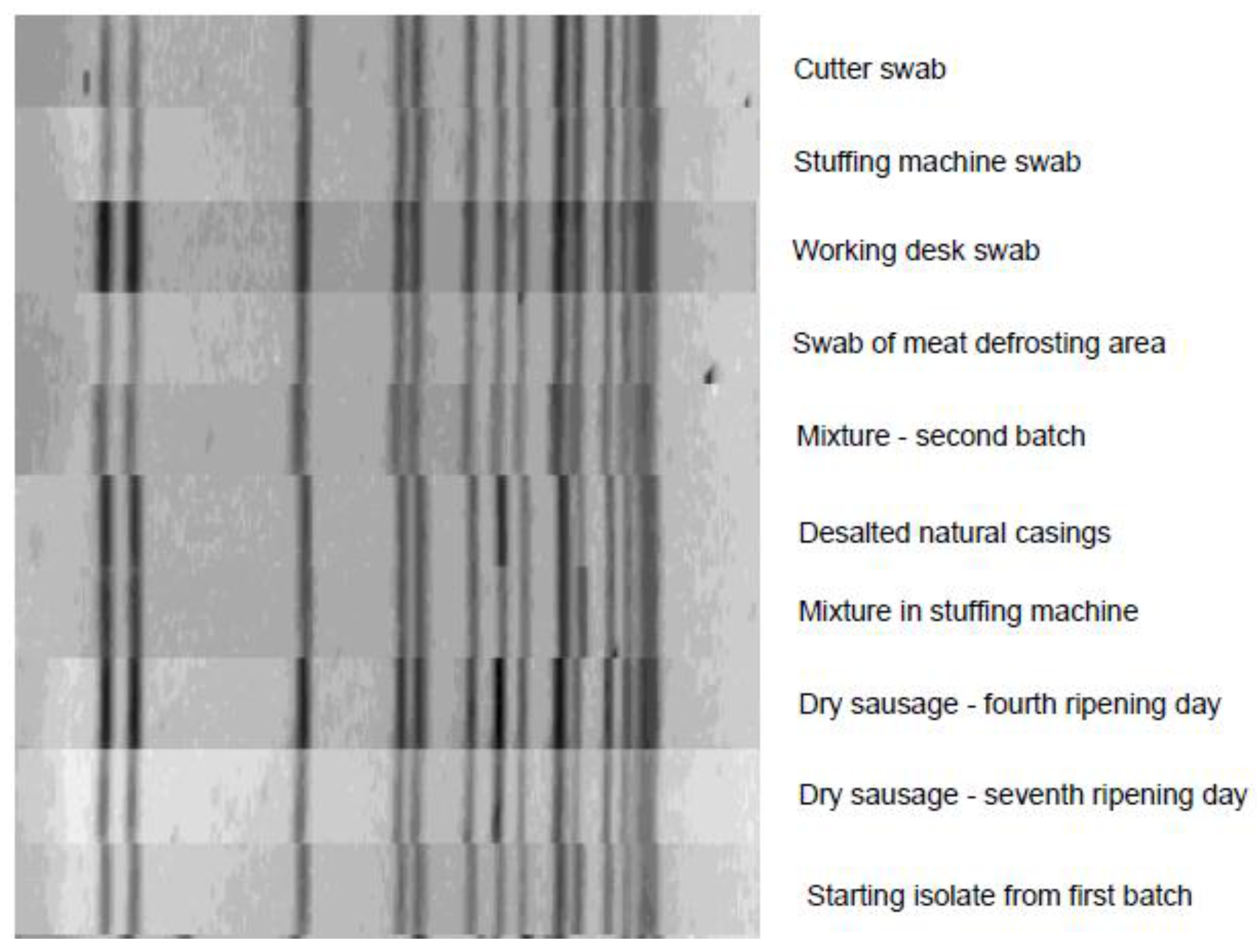 Foods 07 00198 g001 Foods 07 00198 g001