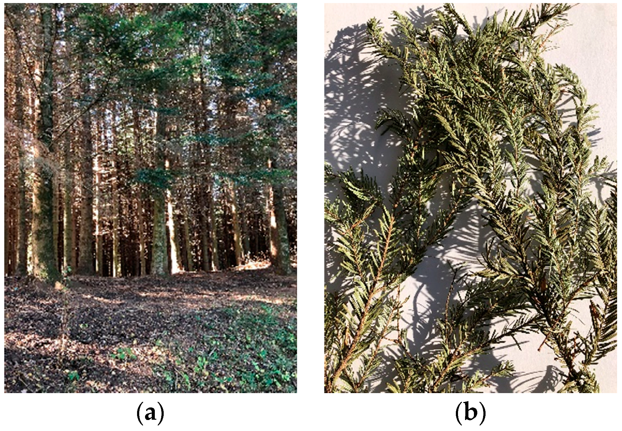 Foods 08 00065 g002 Foods 08 00065 g002