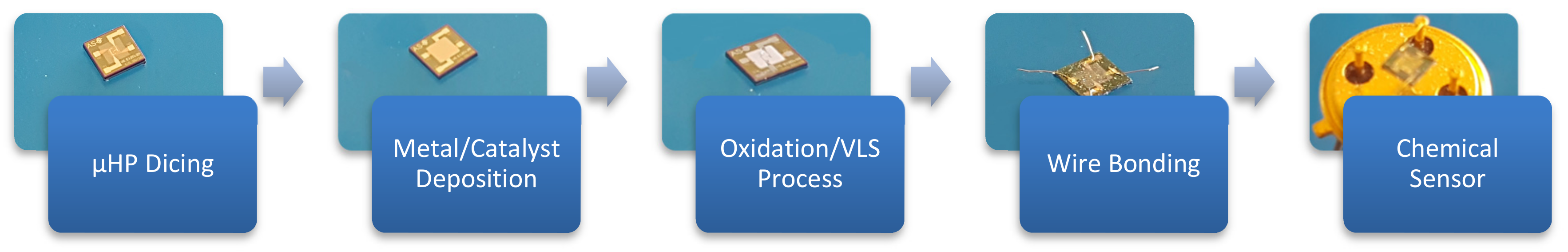 Foods 08 00226 g002 Foods 08 00226 g002