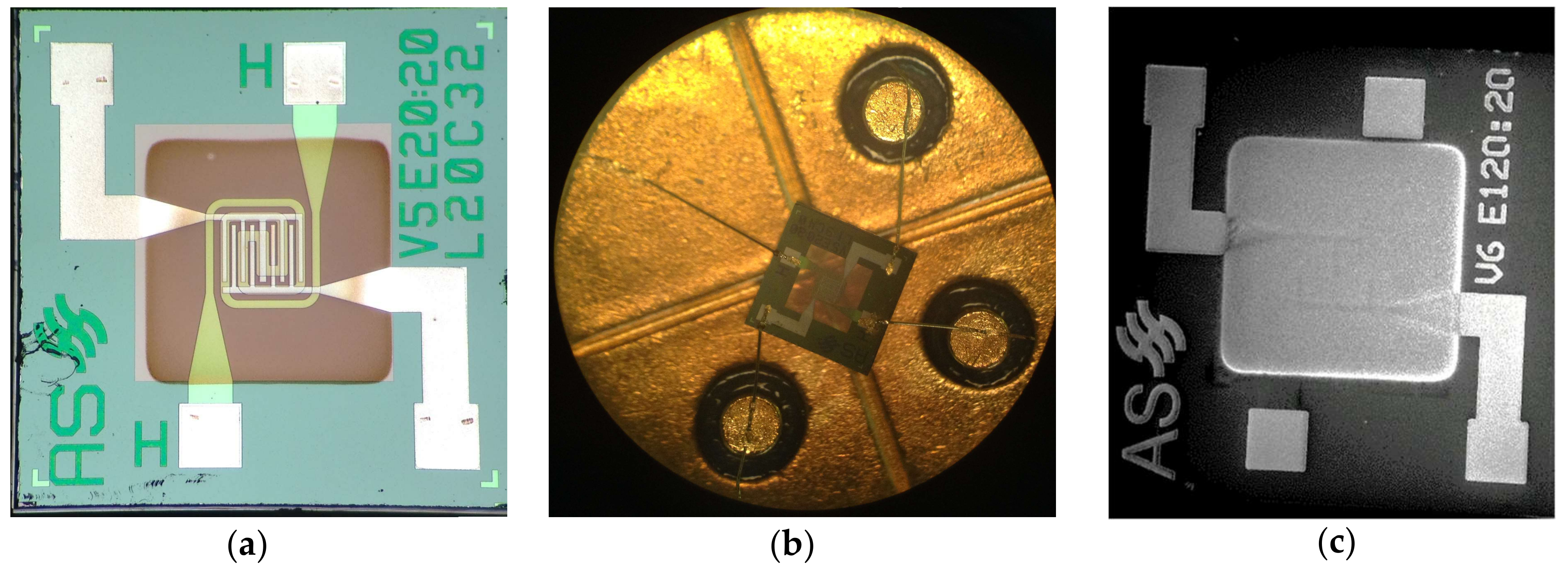 Foods 08 00226 g003 Foods 08 00226 g003