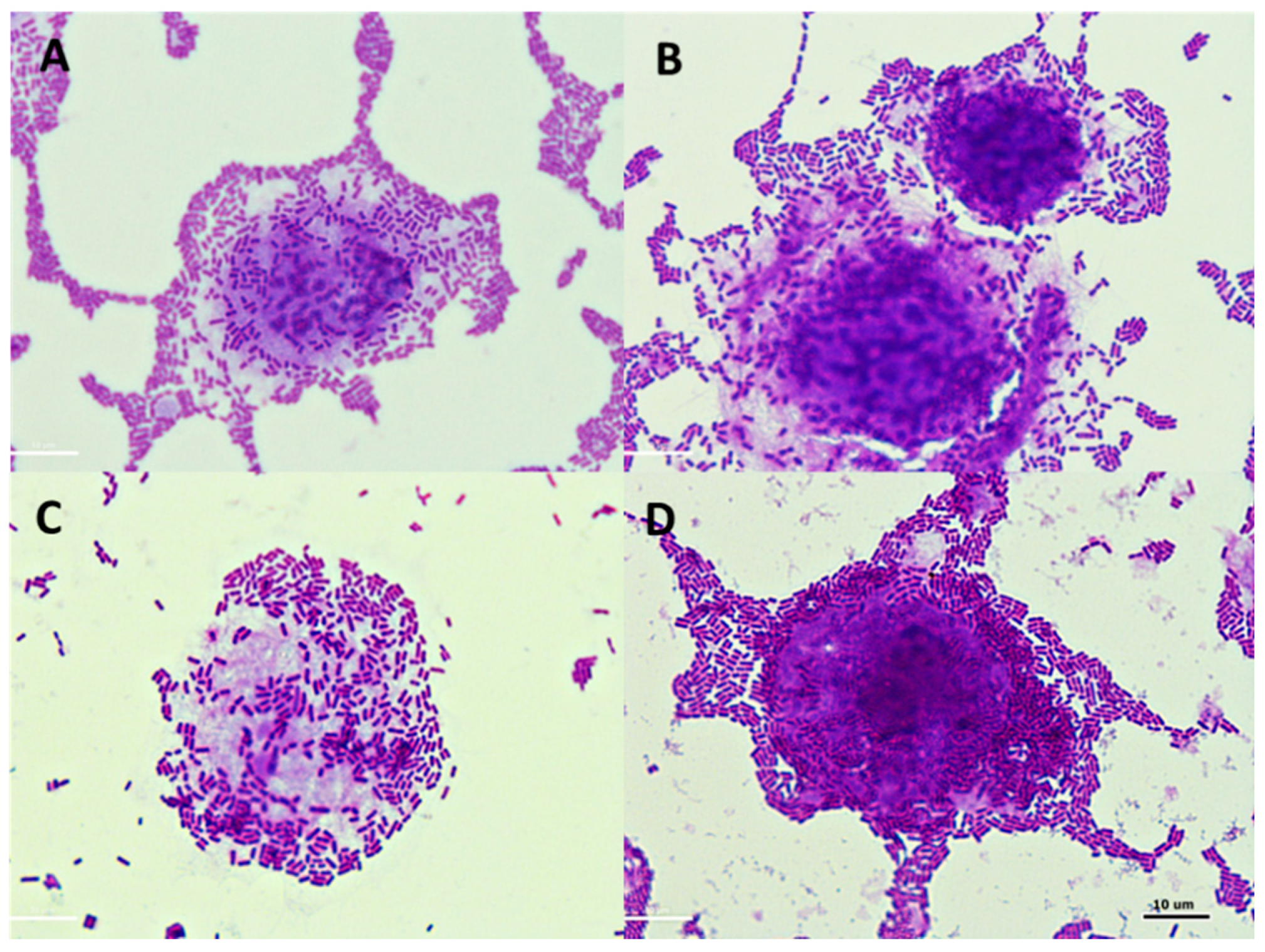 Foods 08 00365 g007 Foods 08 00365 g007