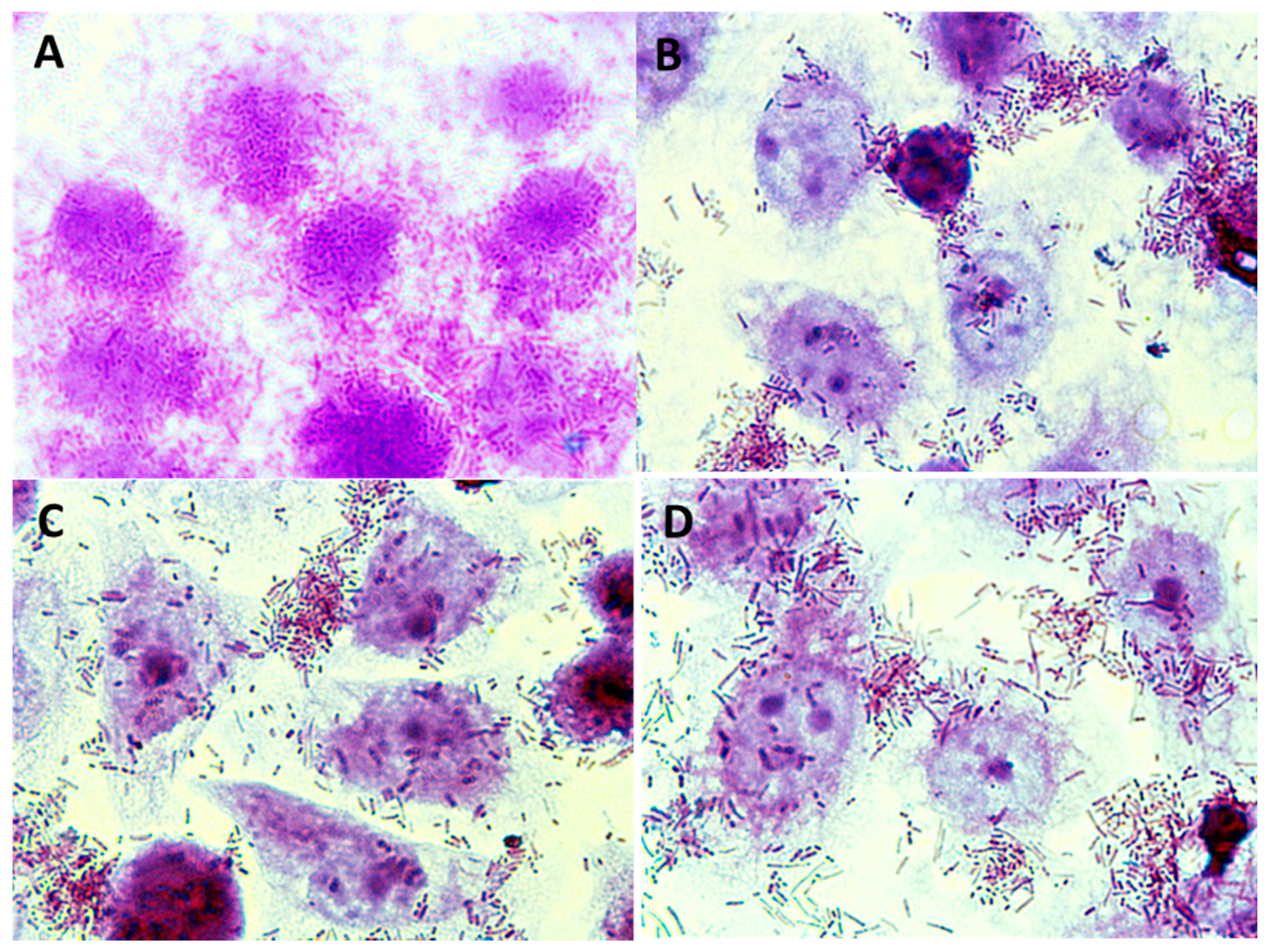 Foods 08 00365 g009 Foods 08 00365 g009