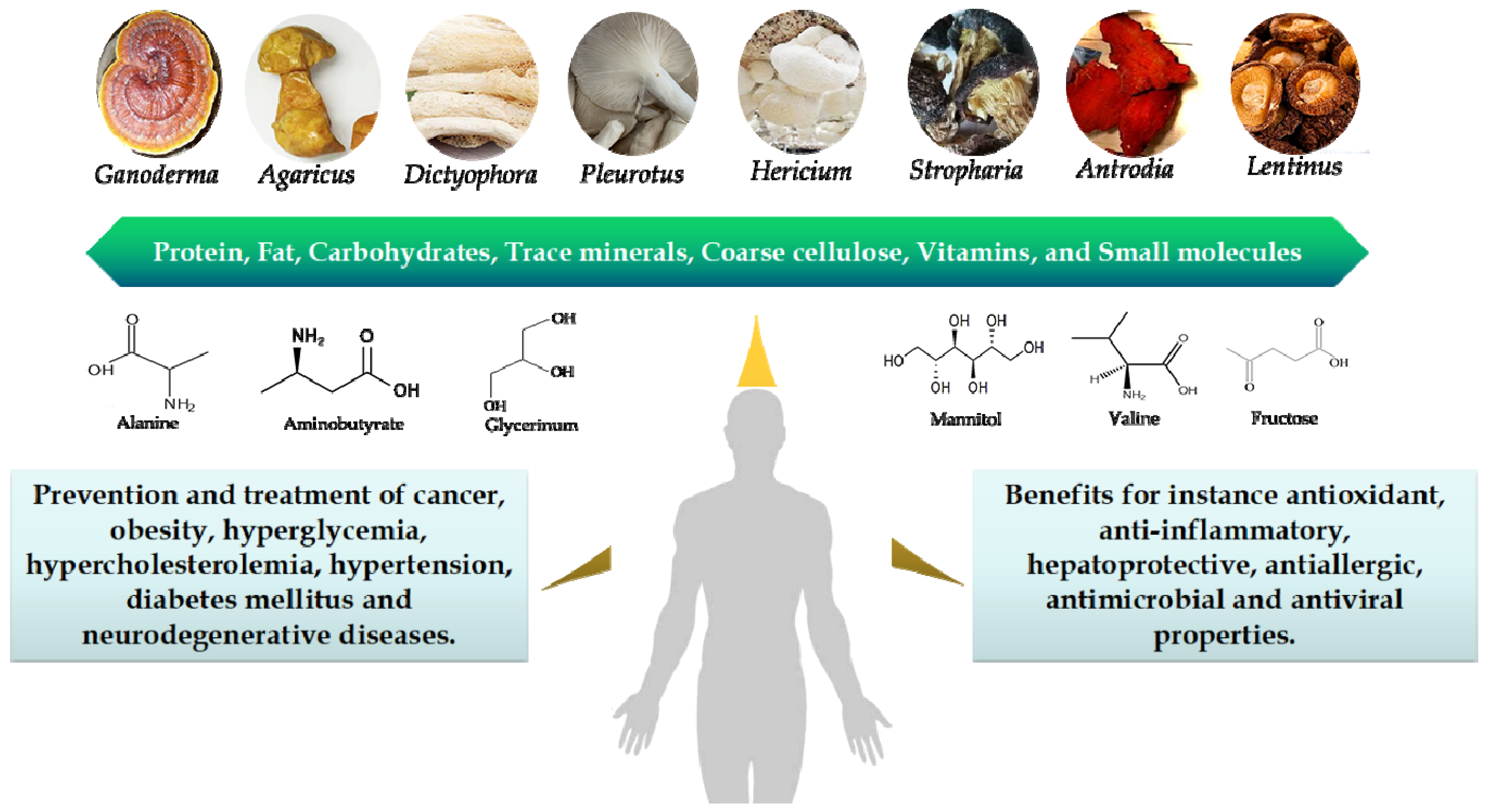 Foods 08 00397 g001 Foods 08 00397 g001