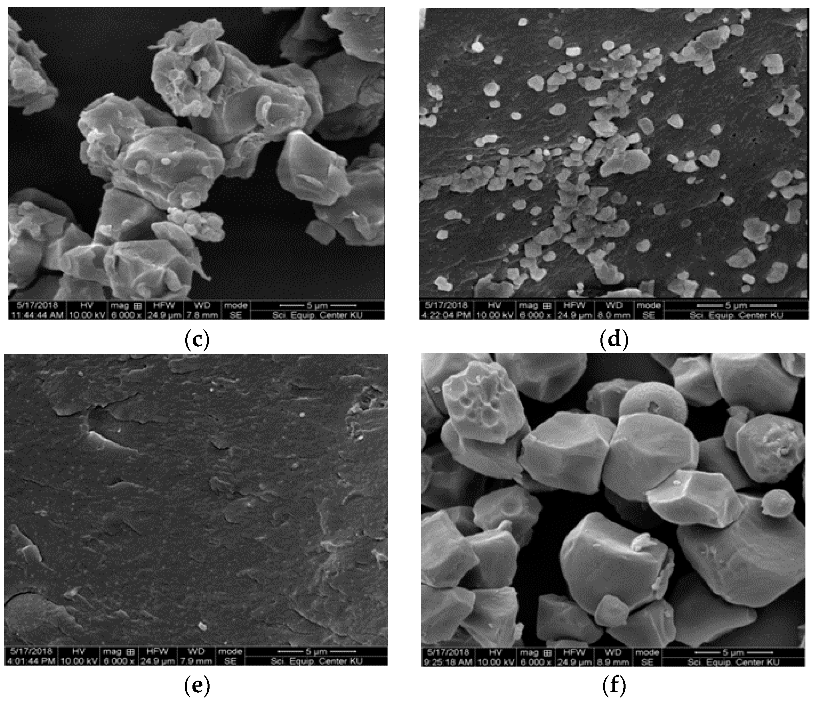 Foods 08 00558 g004b