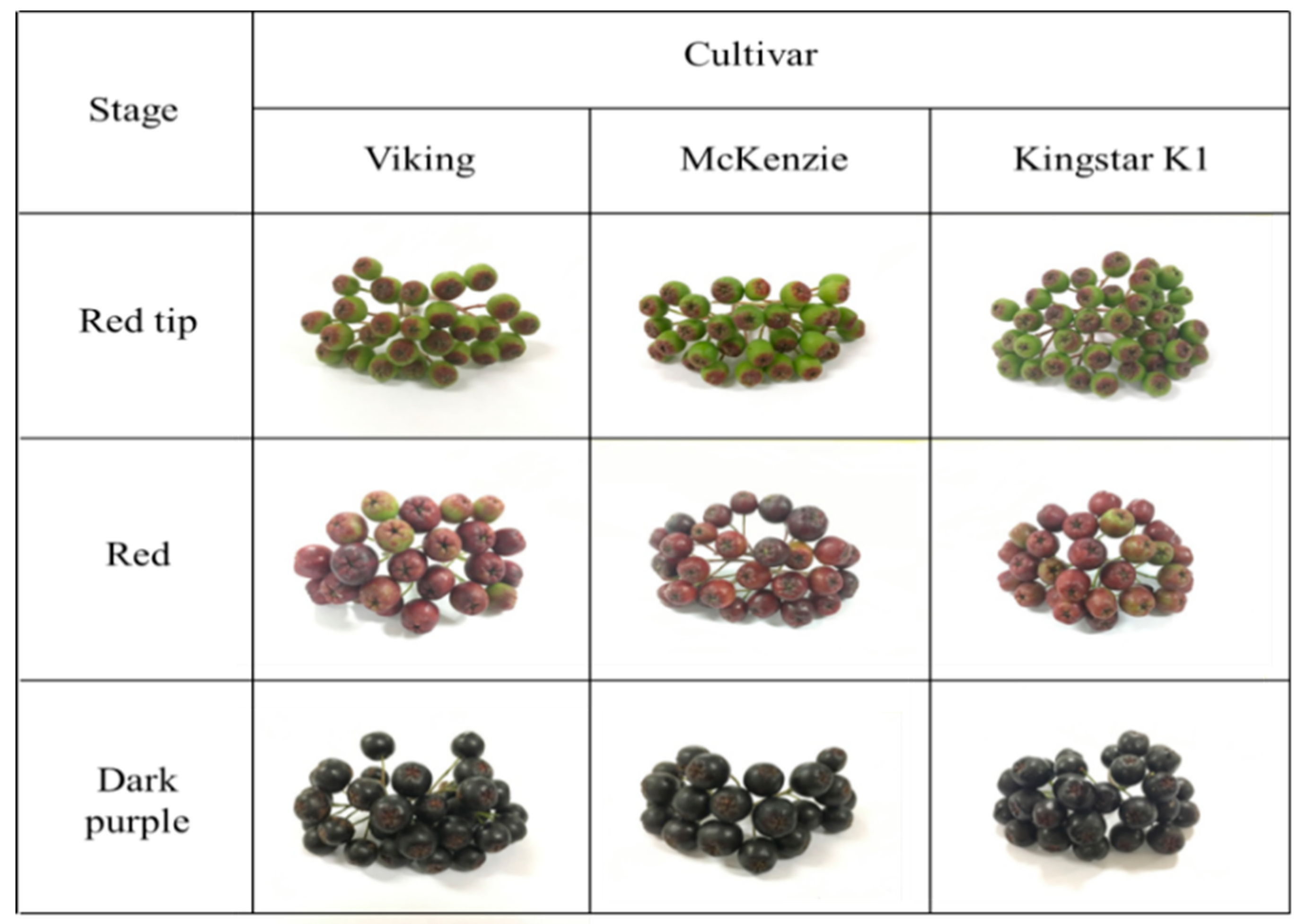 Foods 08 00598 g001 Foods 08 00598 g001