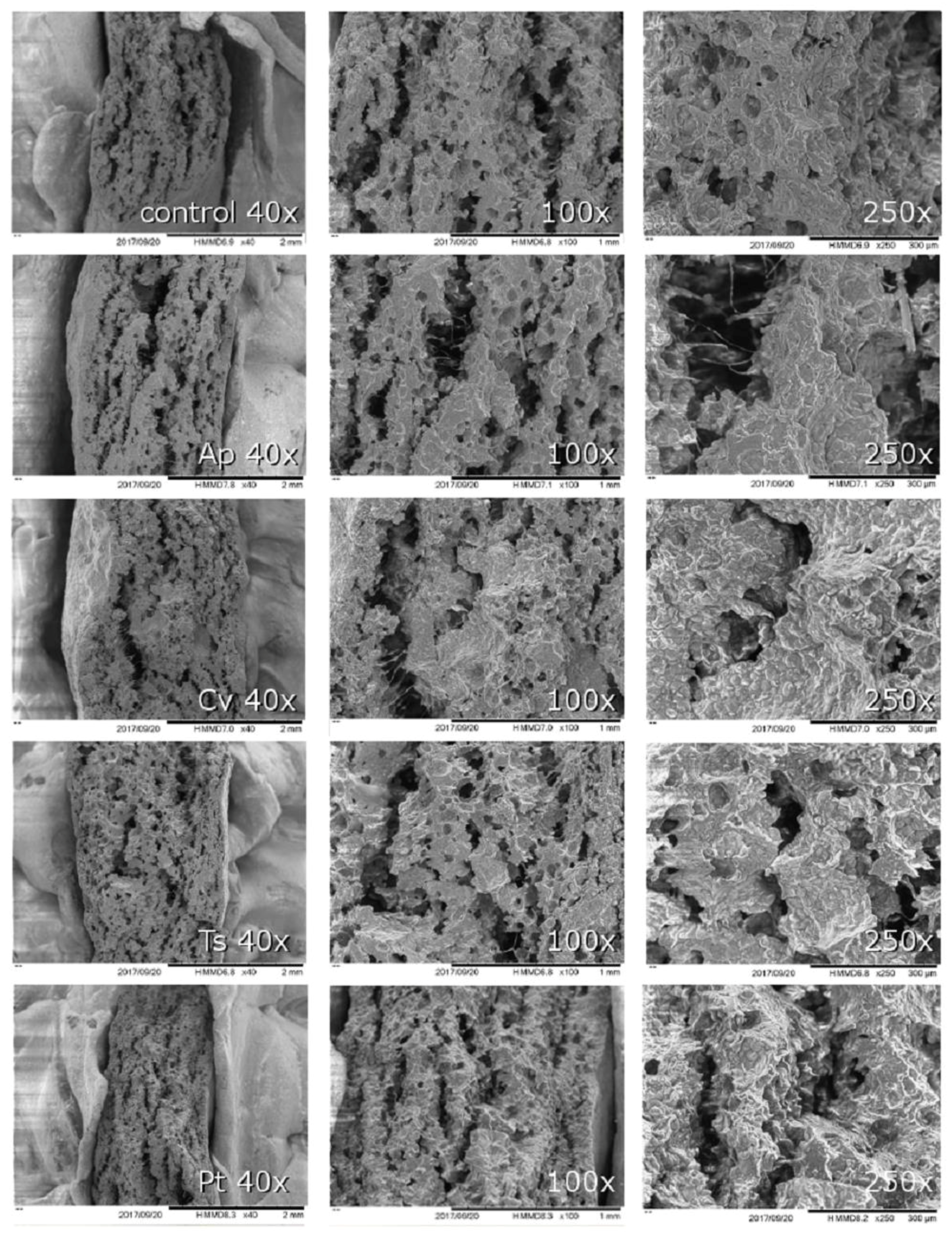 Foods 08 00611 g004 Foods 08 00611 g004