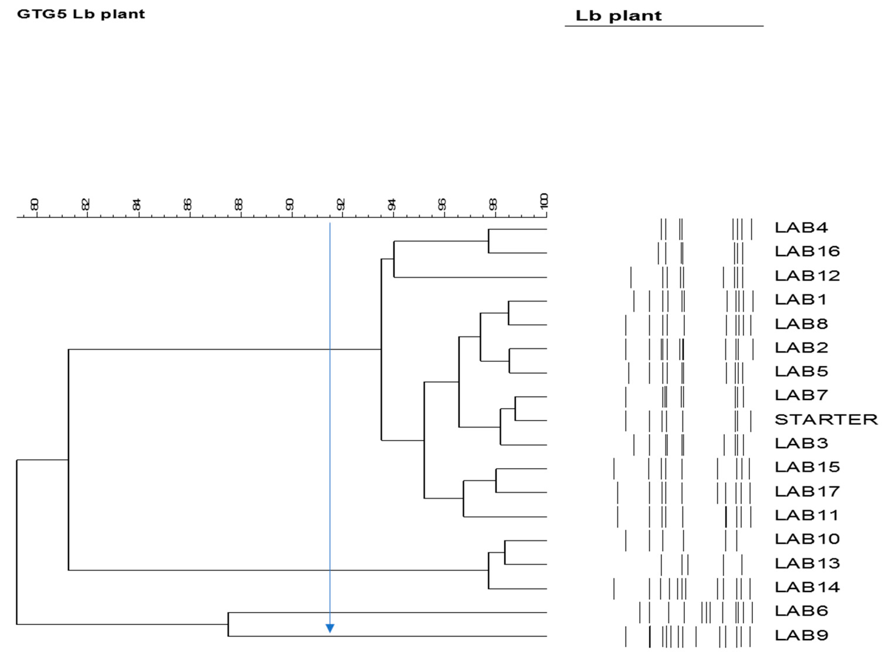 Foods 09 00017 g010 Foods 09 00017 g010