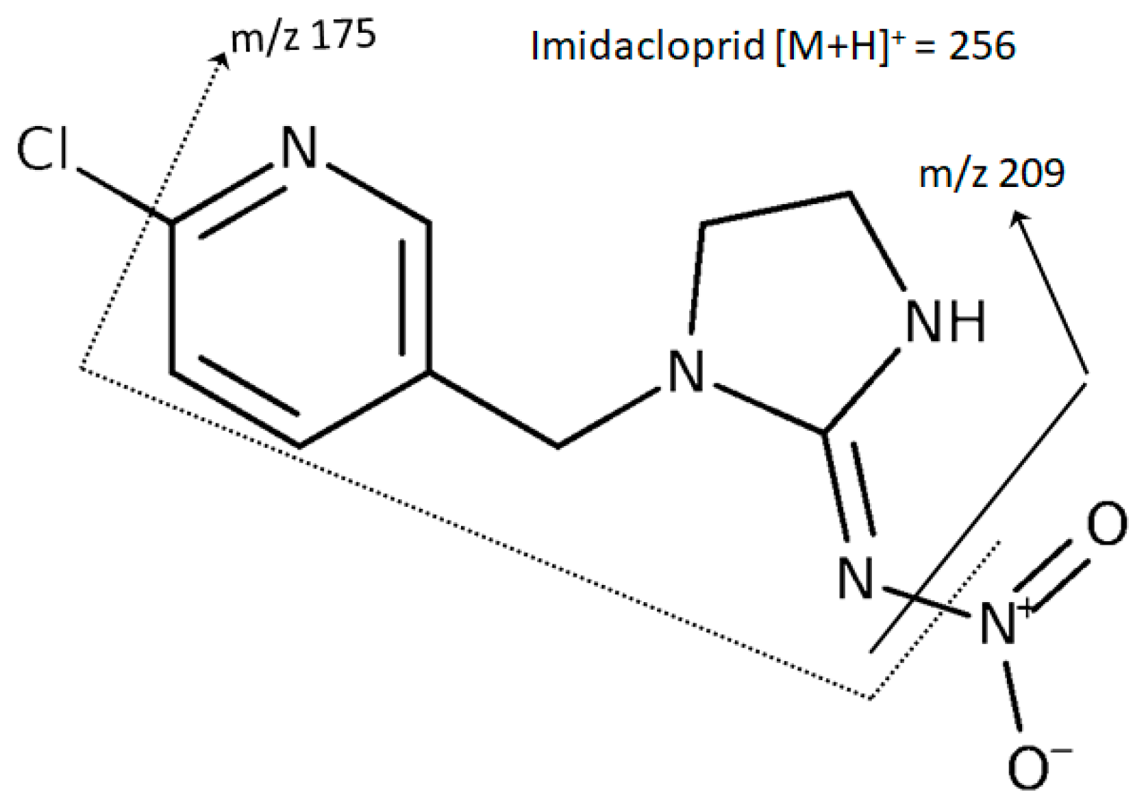 Foods 09 00018 g002 Foods 09 00018 g002