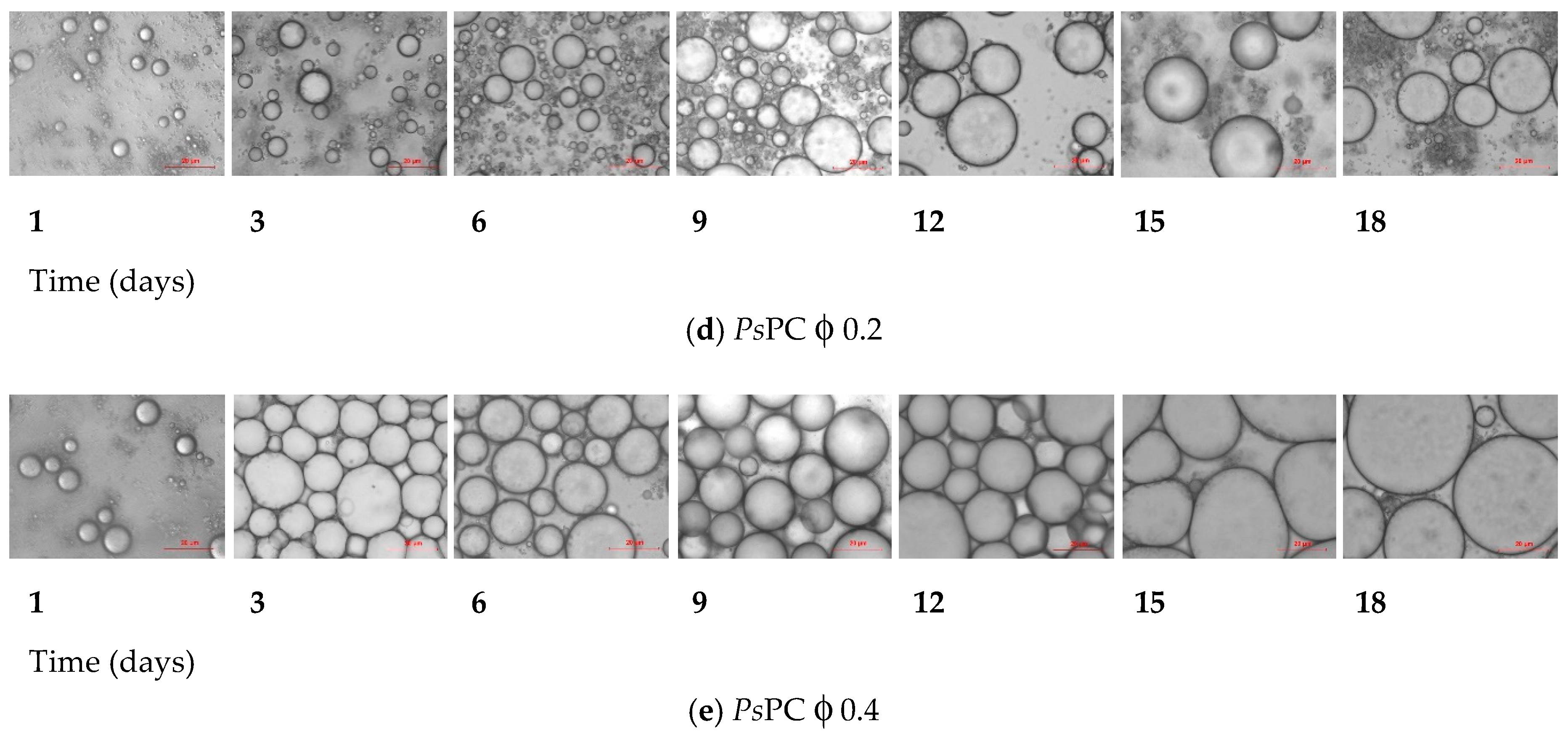 Foods 09 00029 g006b