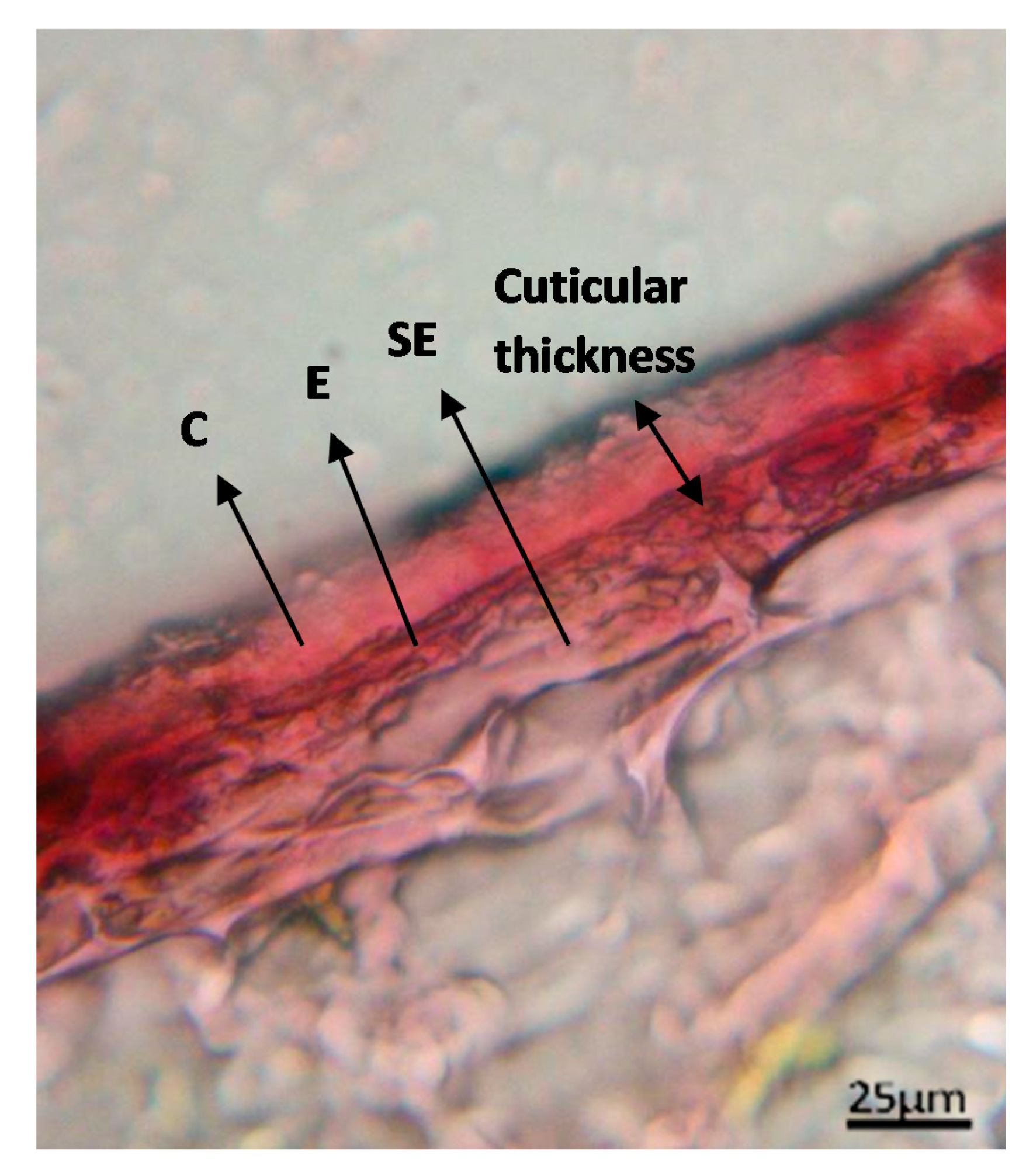 Foods 09 00087 g004 Foods 09 00087 g004
