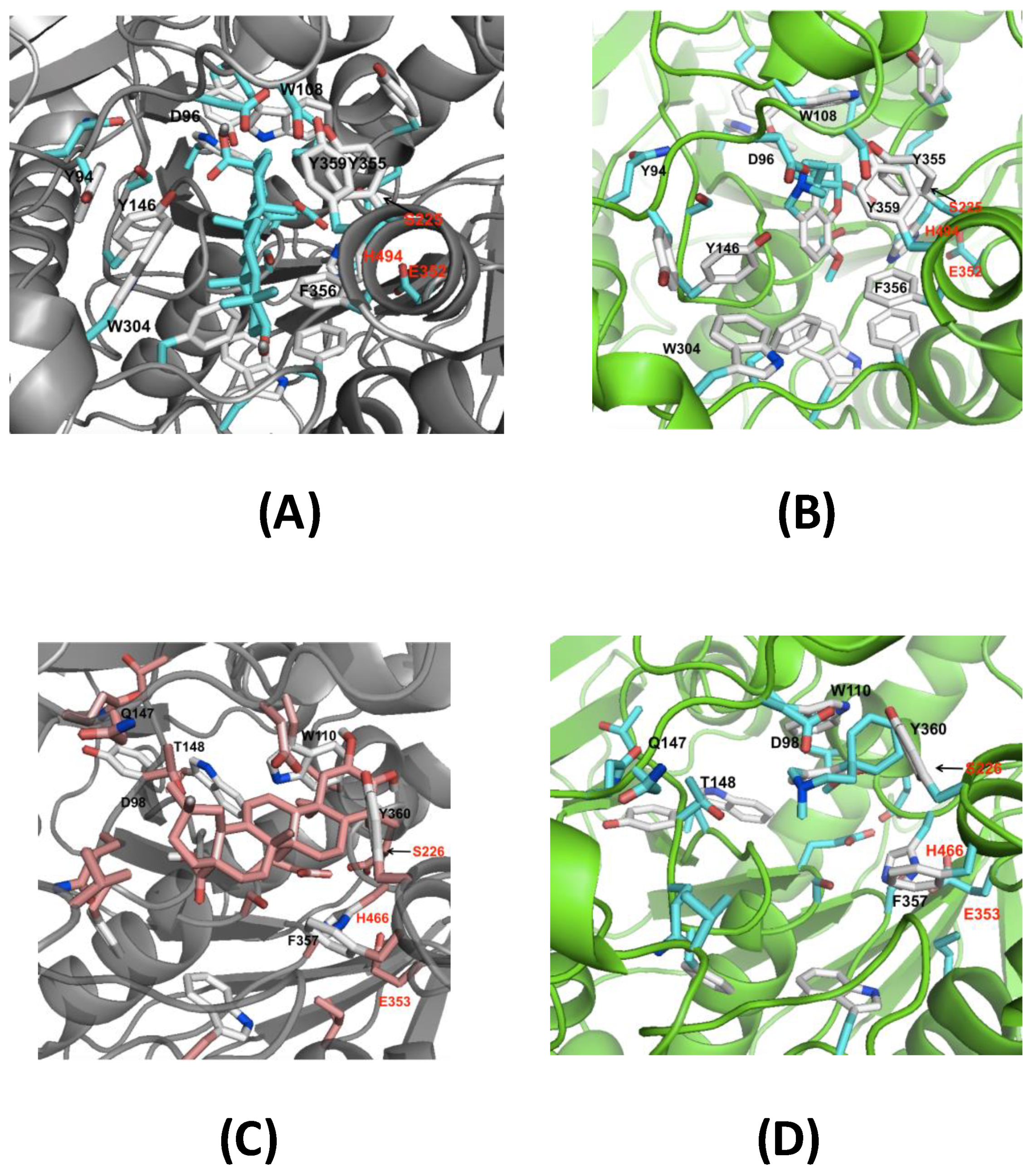 Foods 09 00144 g008 Foods 09 00144 g008