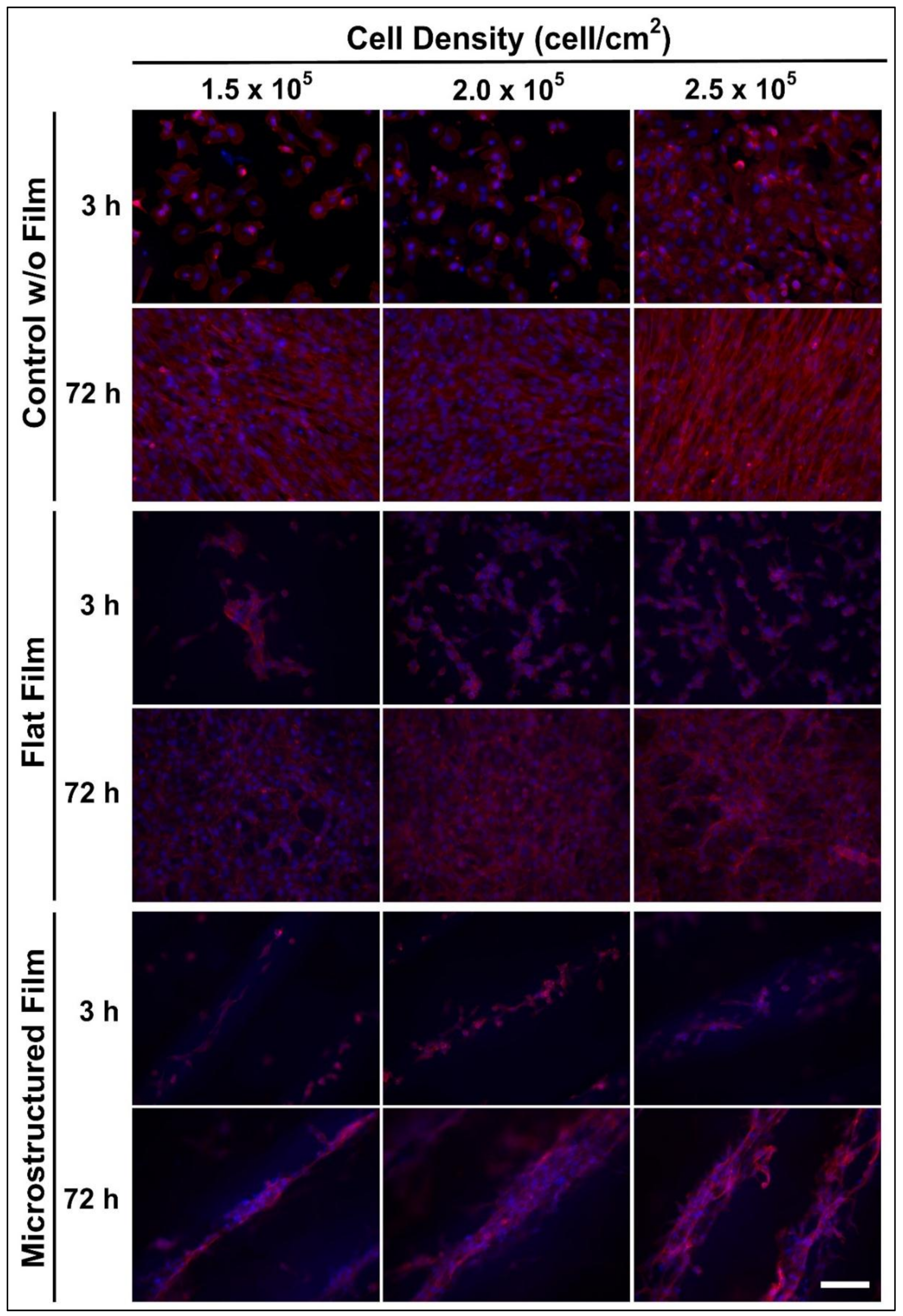 Foods 09 00185 g003 Foods 09 00185 g003