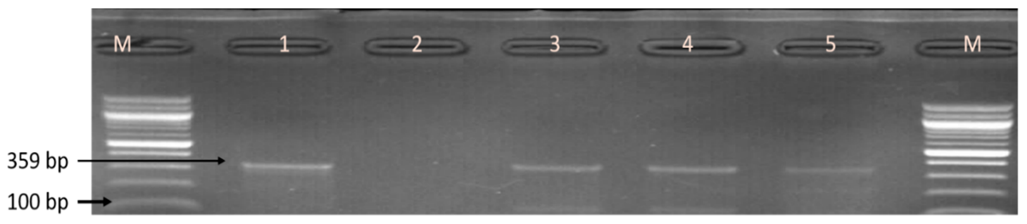 Foods 09 00203 g004 Foods 09 00203 g004