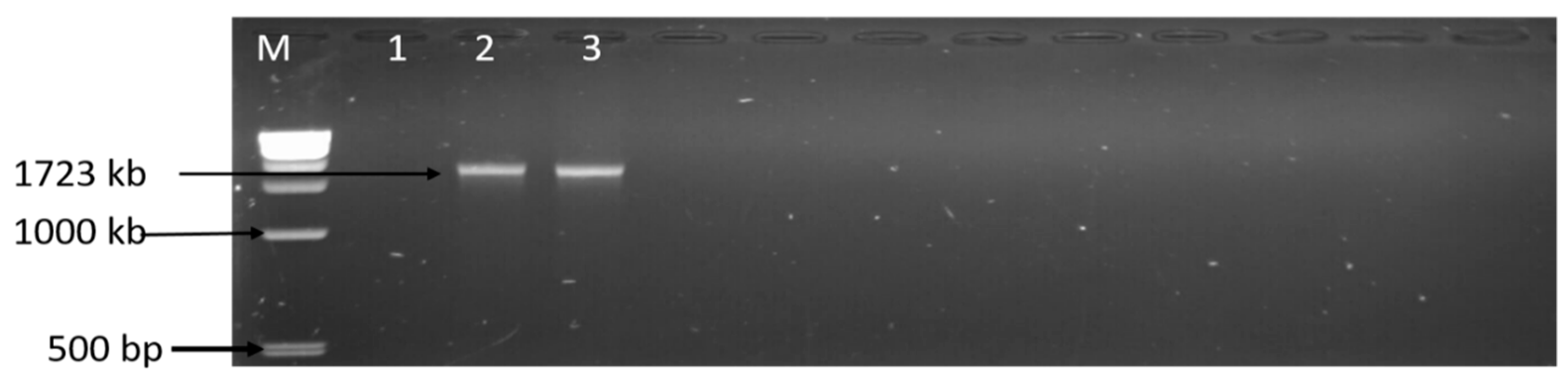 Foods 09 00203 g006 Foods 09 00203 g006