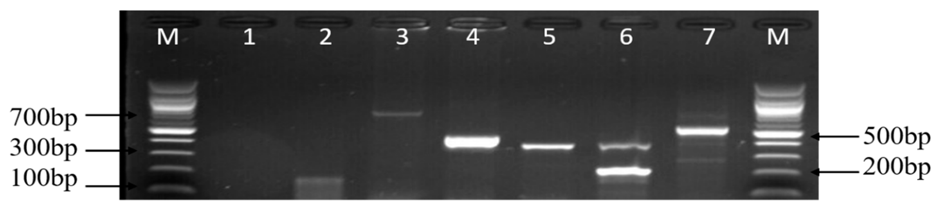 Foods 09 00203 g008 Foods 09 00203 g008