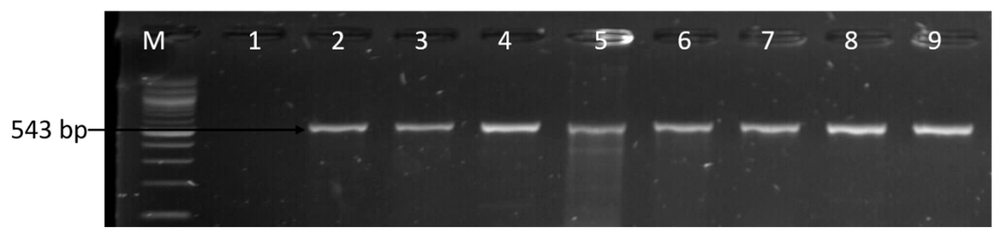 Foods 09 00203 g009 Foods 09 00203 g009