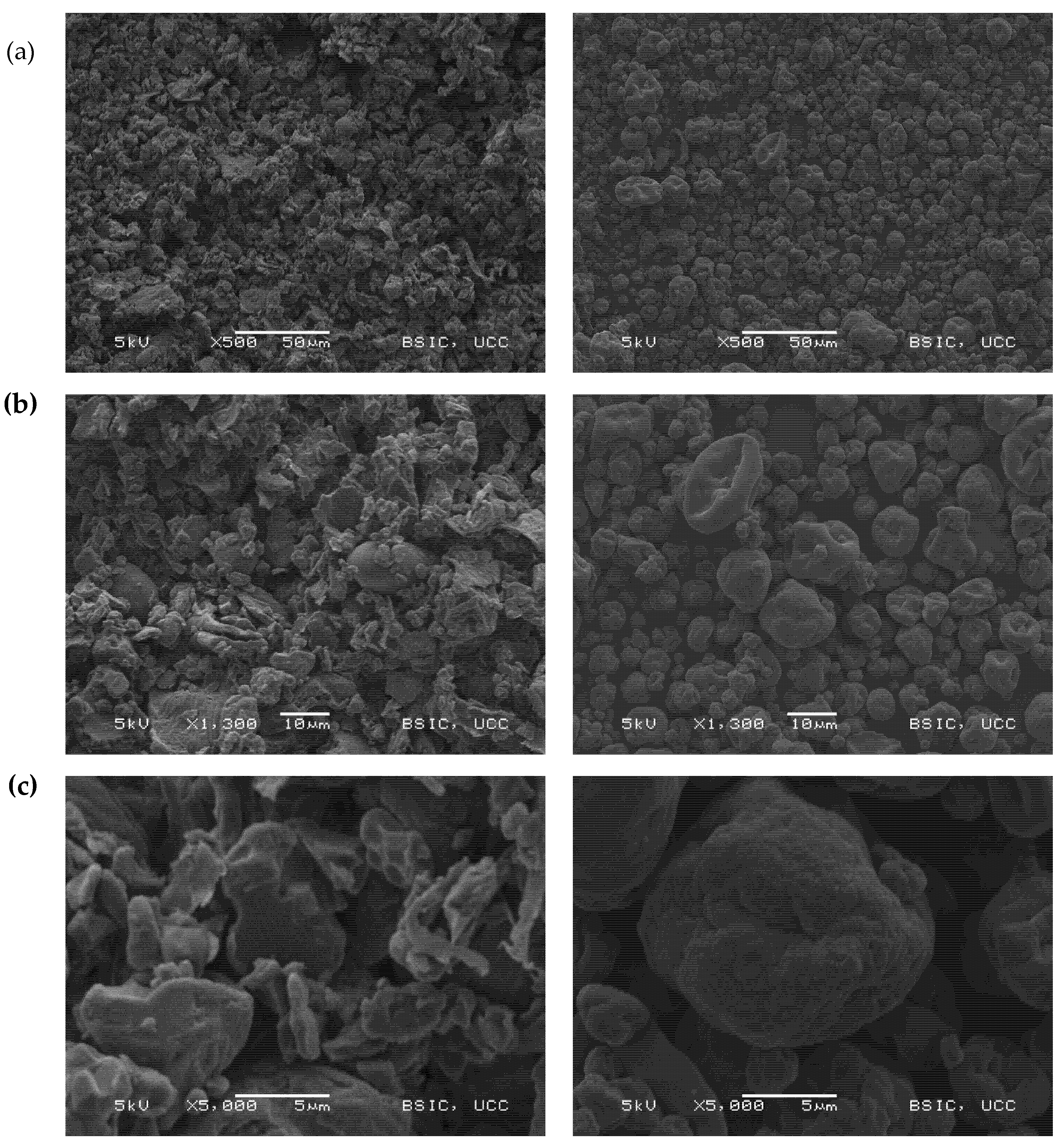 Foods 09 00322 g002 Foods 09 00322 g002