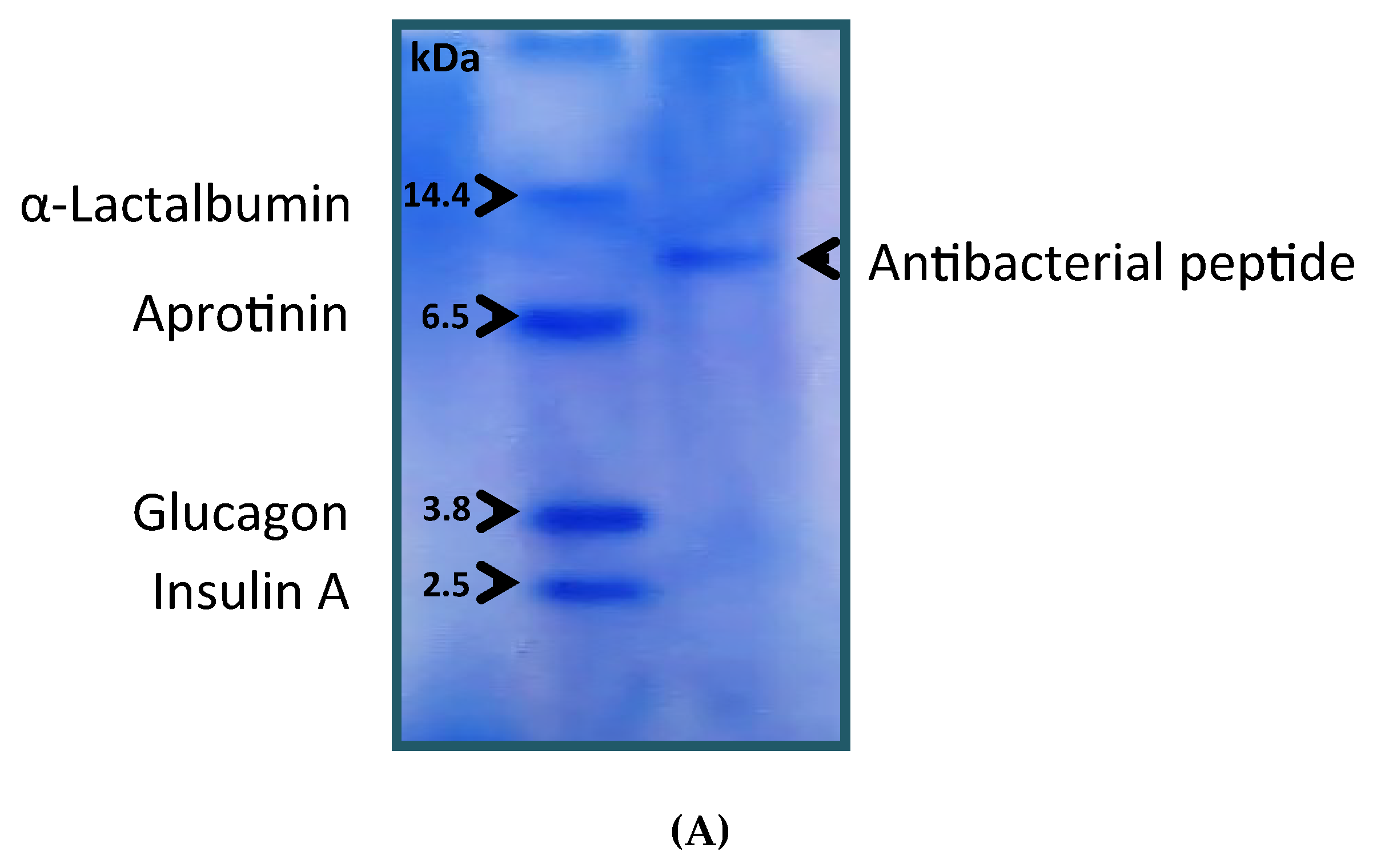 Foods 09 00324 g004a