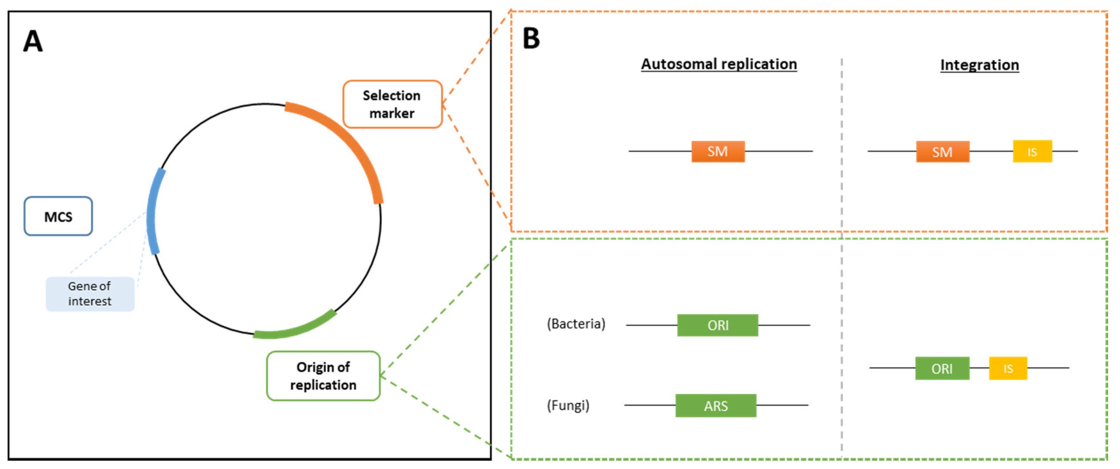 Foods 09 00326 g001 Foods 09 00326 g001