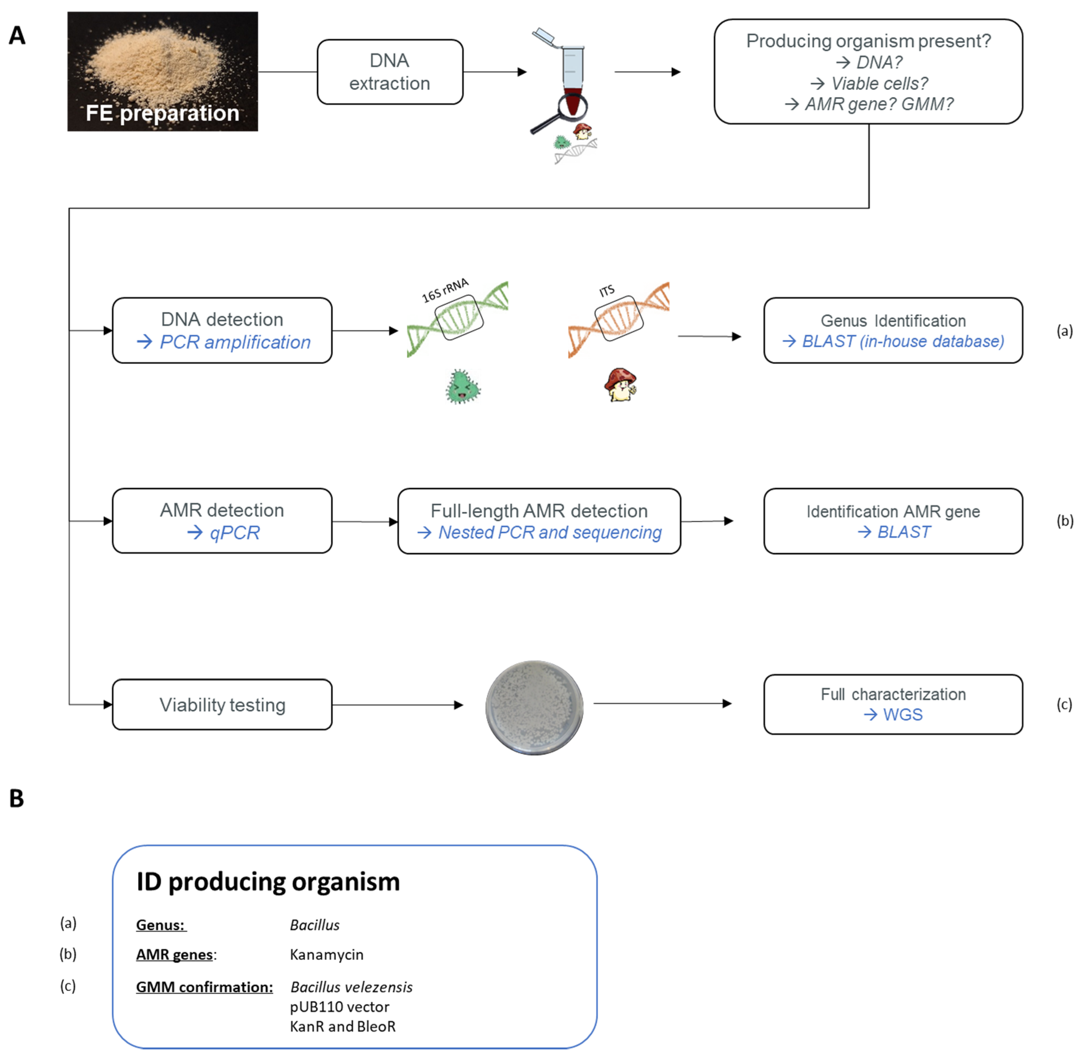 Foods 09 00326 g004 Foods 09 00326 g004