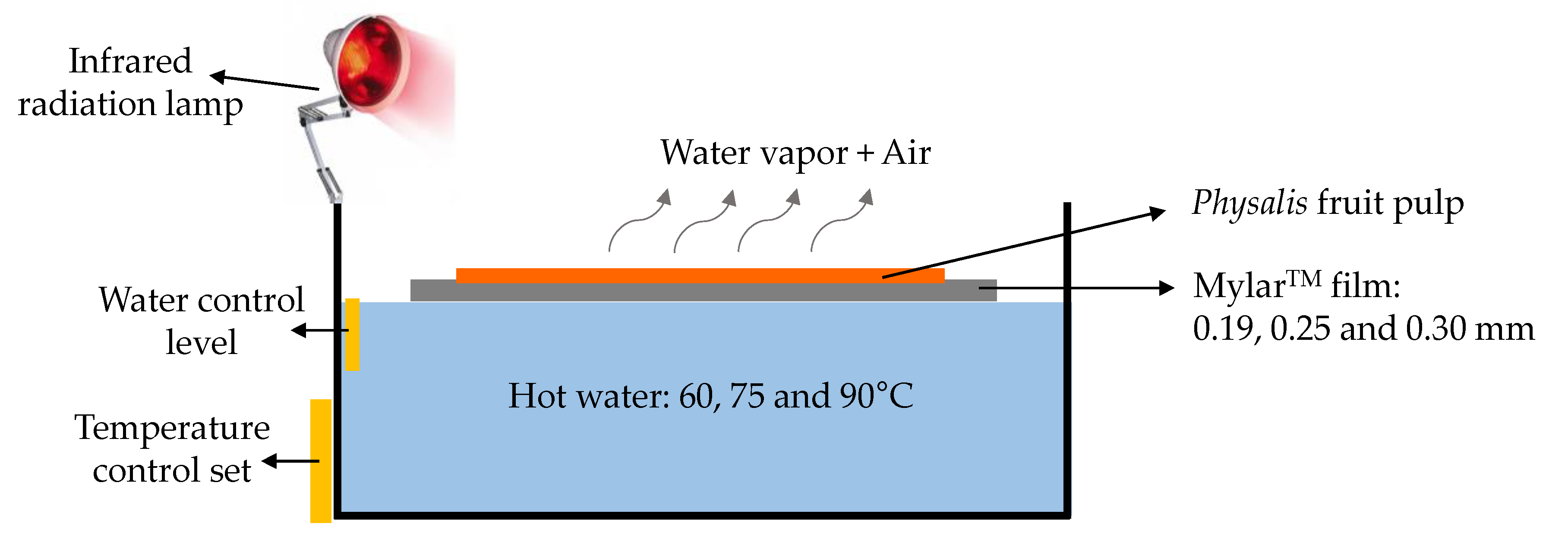 Foods 09 00343 g001 Foods 09 00343 g001