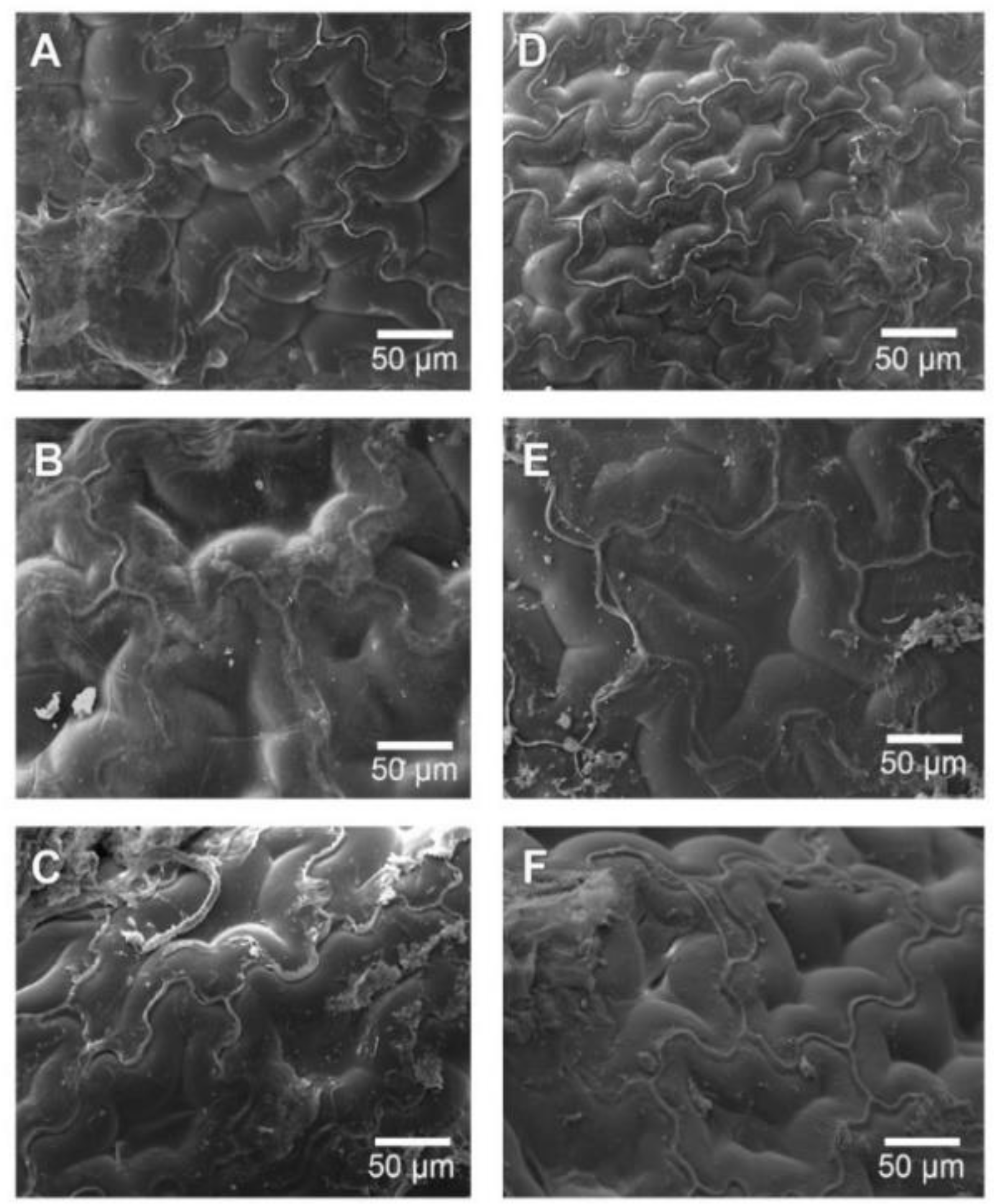 Foods 09 00343 g005 Foods 09 00343 g005