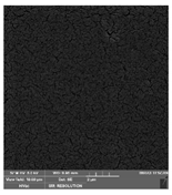 Foods 09 00357 i001 Foods 09 00357 i001