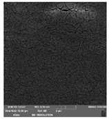 Foods 09 00357 i002 Foods 09 00357 i002