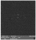 Foods 09 00357 i003 Foods 09 00357 i003