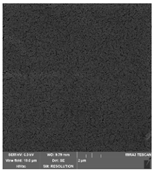 Foods 09 00357 i004 Foods 09 00357 i004