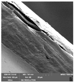 Foods 09 00357 i005 Foods 09 00357 i005