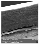 Foods 09 00357 i006 Foods 09 00357 i006