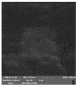 Foods 09 00357 i009 Foods 09 00357 i009