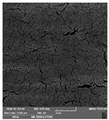 Foods 09 00357 i011 Foods 09 00357 i011