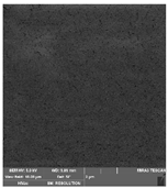 Foods 09 00357 i012 Foods 09 00357 i012