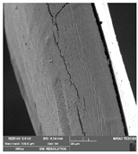 Foods 09 00357 i015 Foods 09 00357 i015