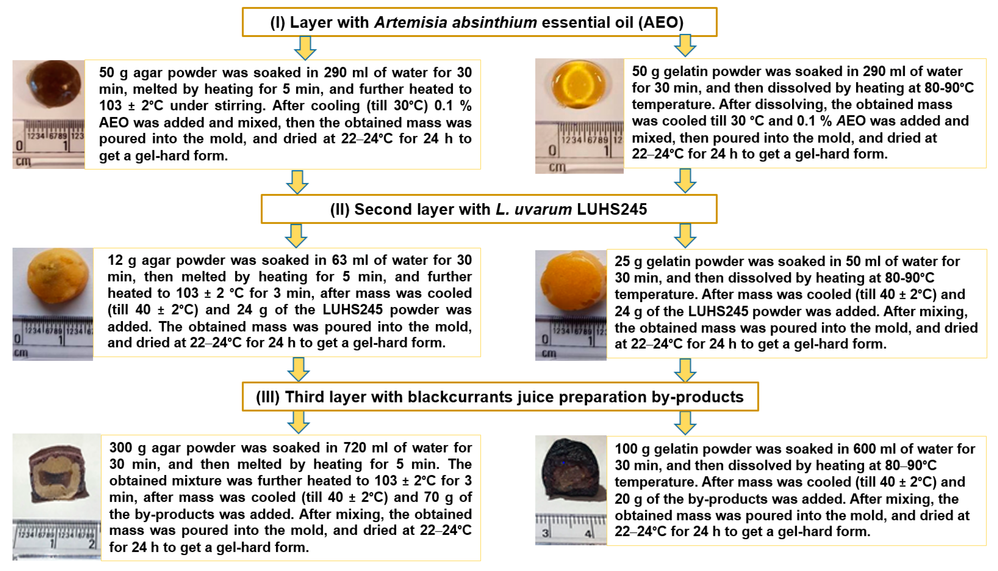 Foods 09 00433 sch001
