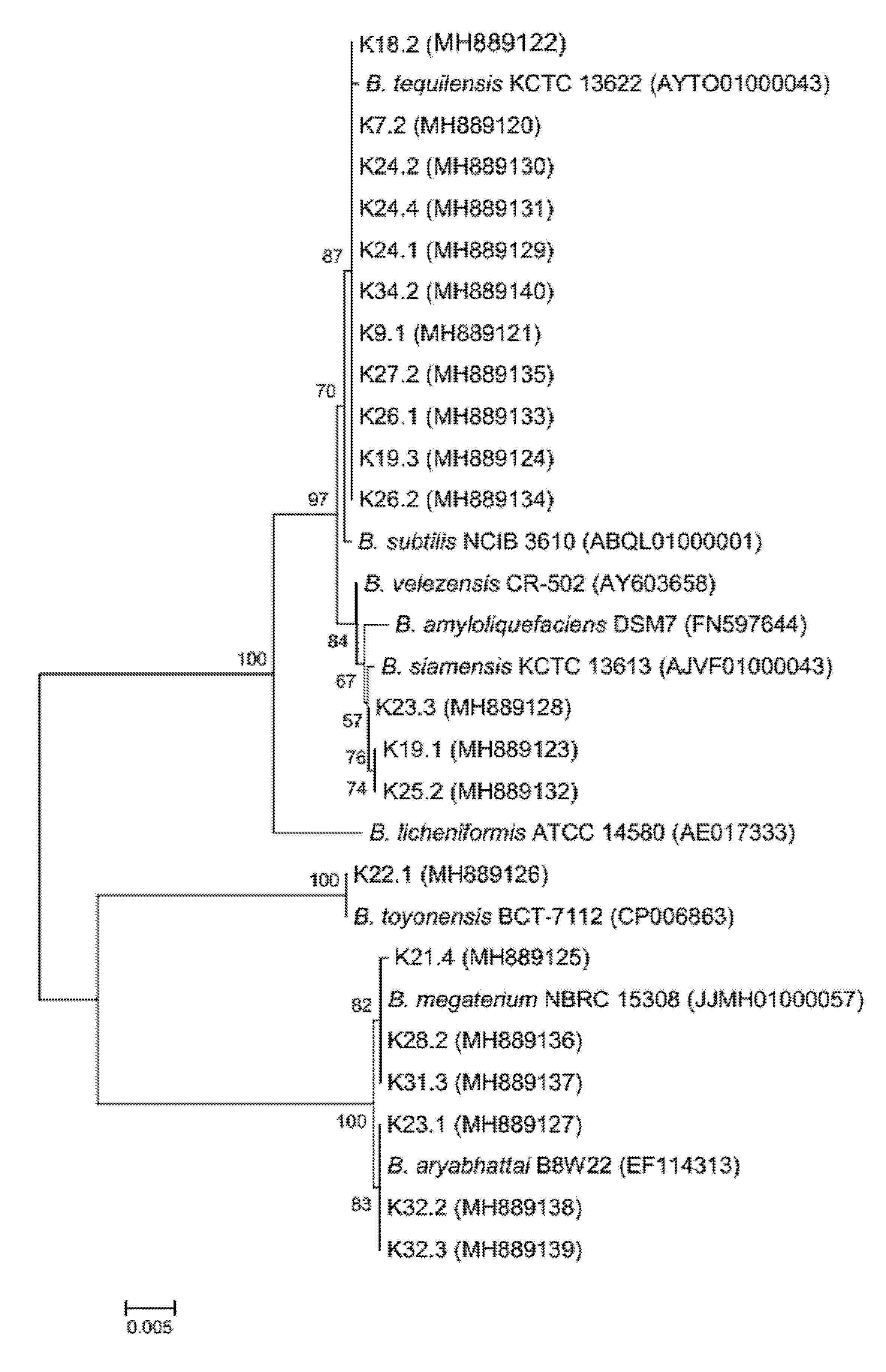 Foods 09 00490 g003 Foods 09 00490 g003
