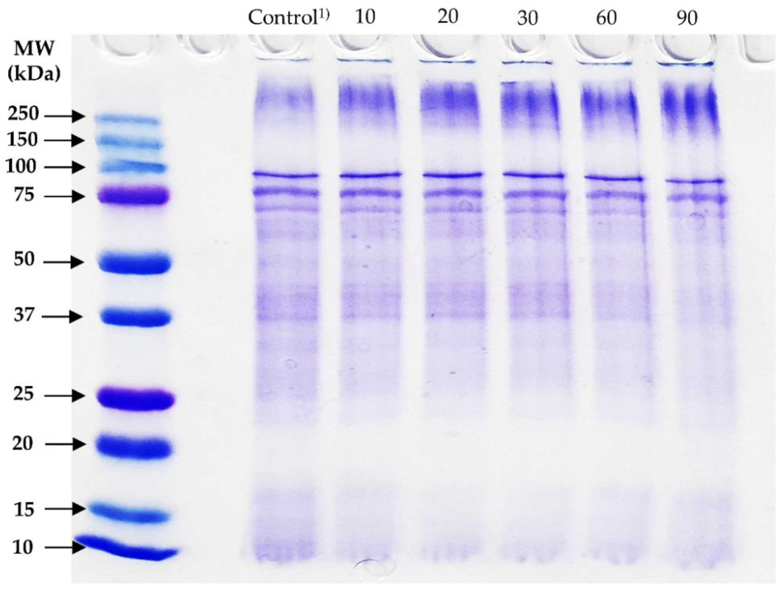 Foods 09 00591 g001 Foods 09 00591 g001