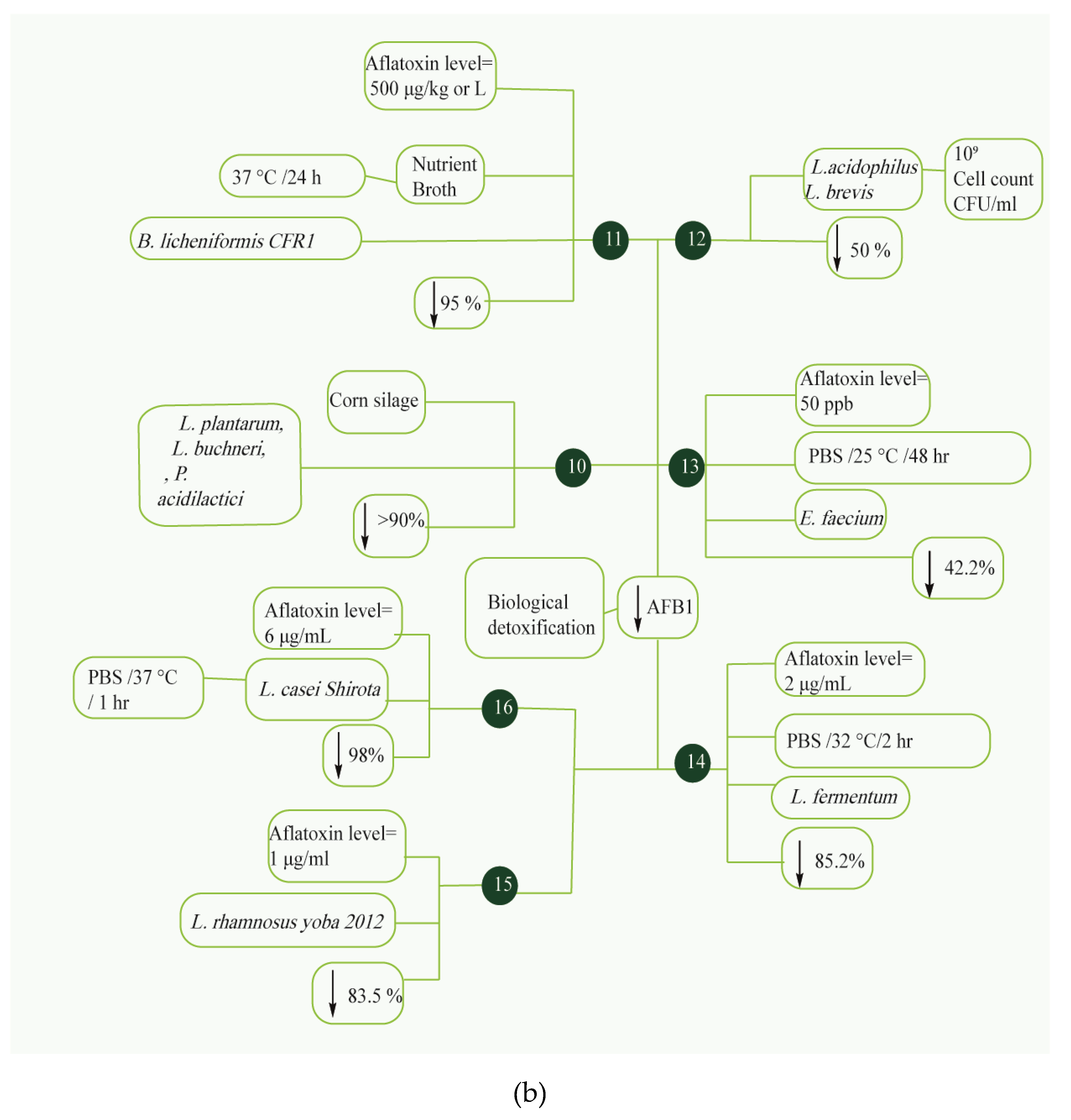 Foods 09 00644 g005b Foods 09 00644 g005b