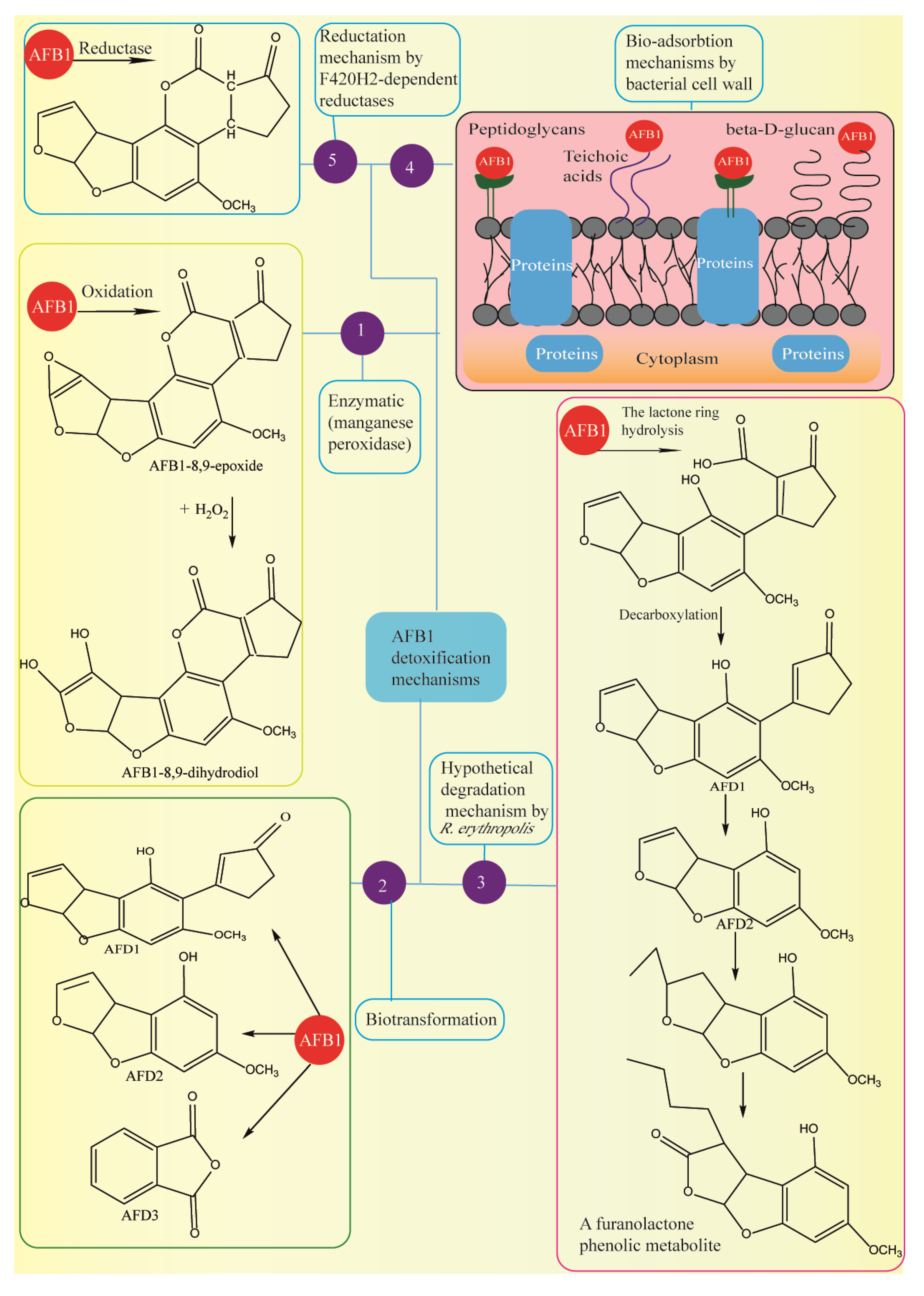 Foods 09 00644 g006 Foods 09 00644 g006