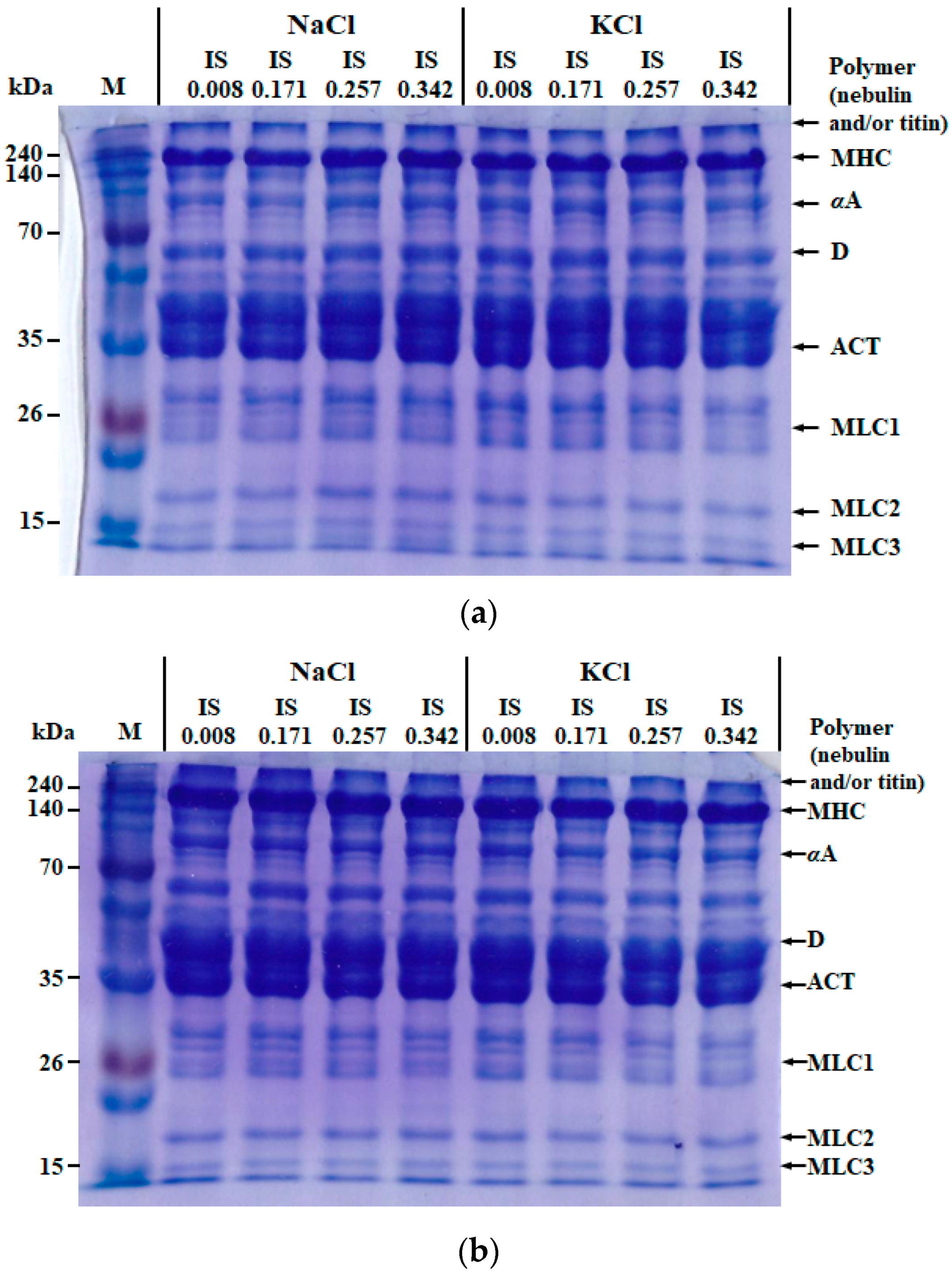Foods 09 00721 g003 Foods 09 00721 g003