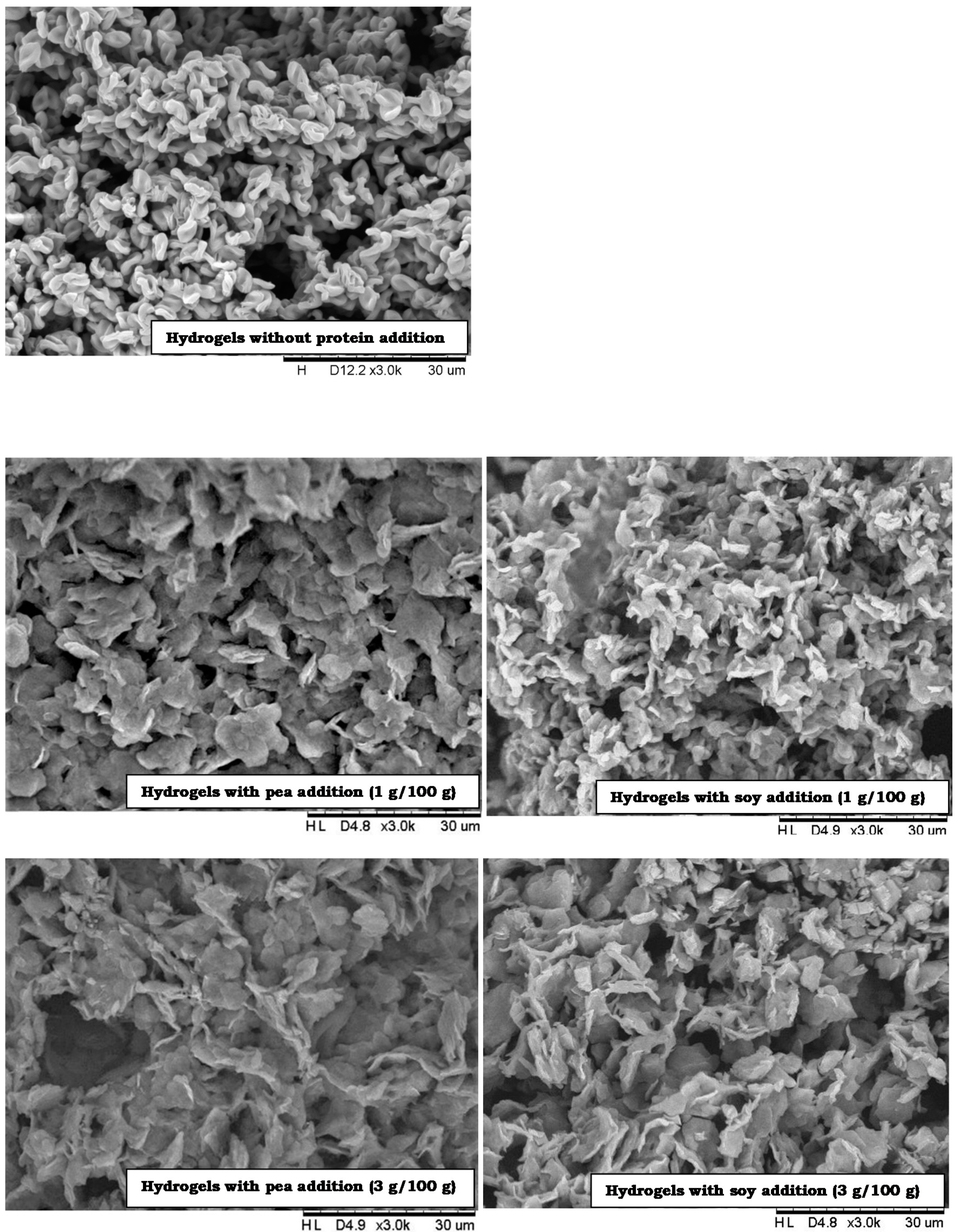 Foods 09 00845 g001a