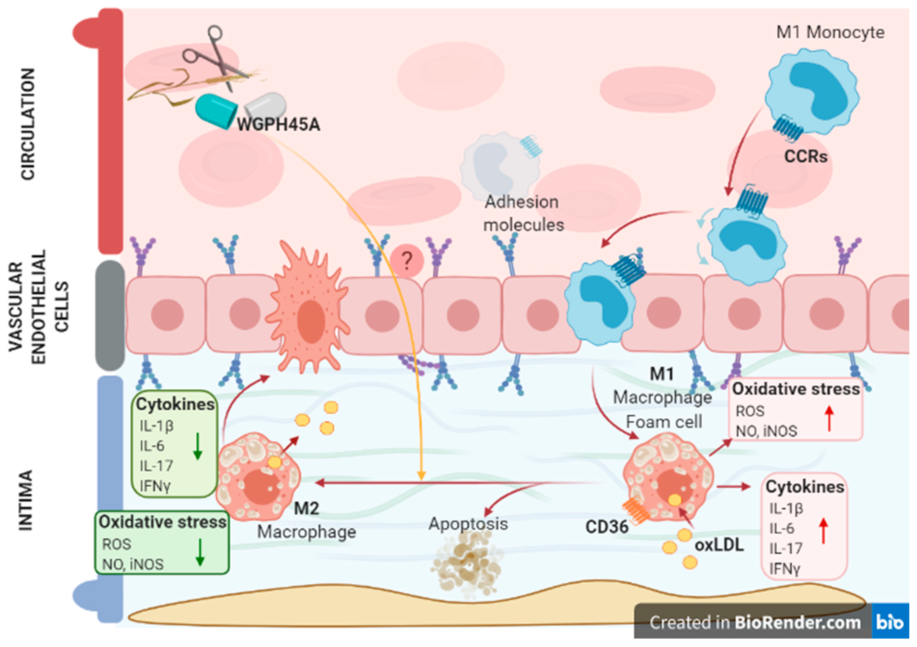 Foods 09 00854 g008 Foods 09 00854 g008