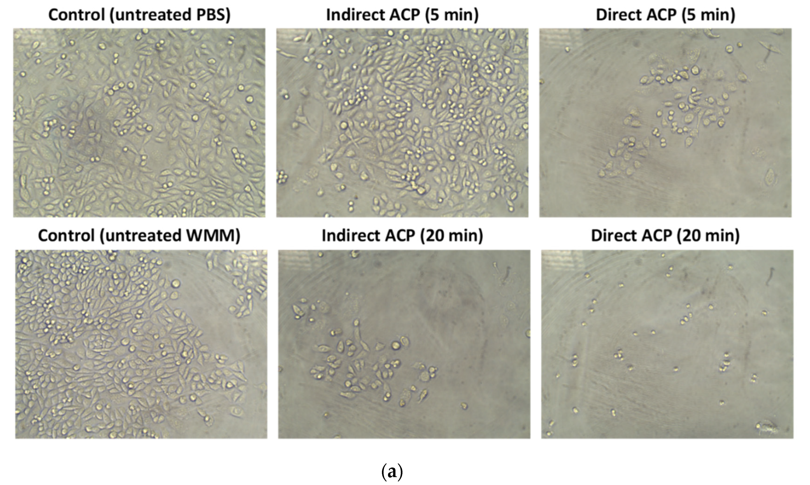 Foods 09 00898 g003a