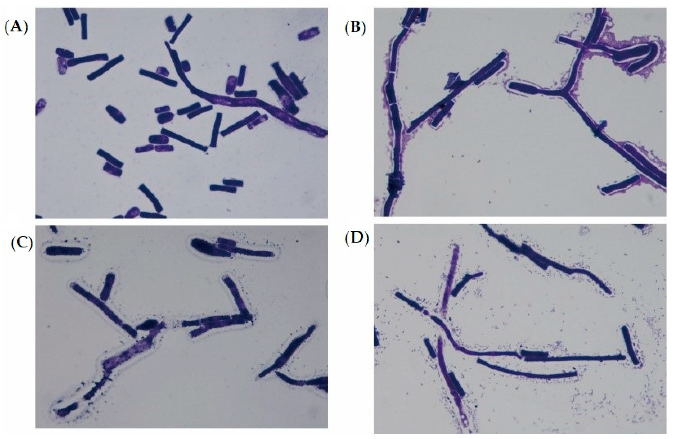 Foods 09 00912 g002 Foods 09 00912 g002