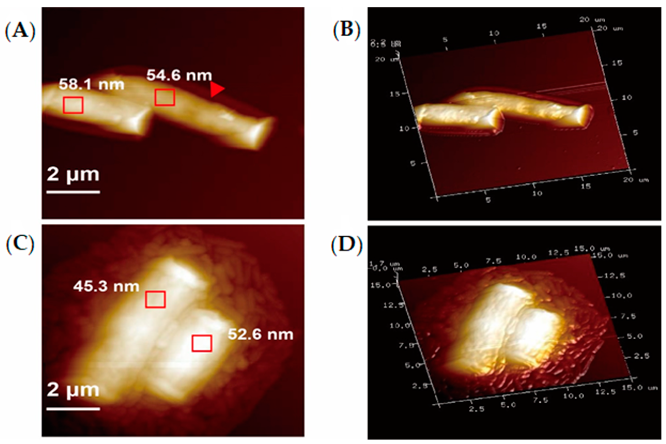 Foods 09 00912 g006 Foods 09 00912 g006